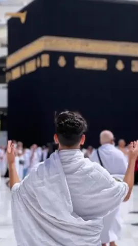 🥰🥰🥰🥰🥰🥰🥰🥰