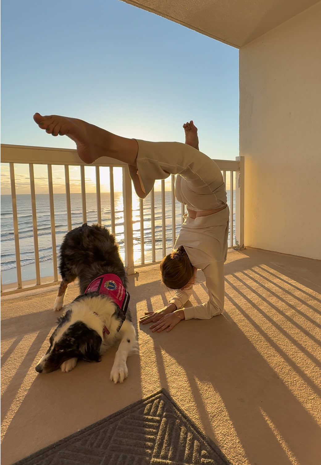 i might delete this later 🥴 #DogAndHuman #BeachDays #TrickDog #GoodVibes #PawfectMoments #CanineCompanion