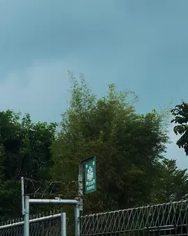 Skinnyfabs>> #vibes #song #happy #skinnyfabs #lyrics #edit 