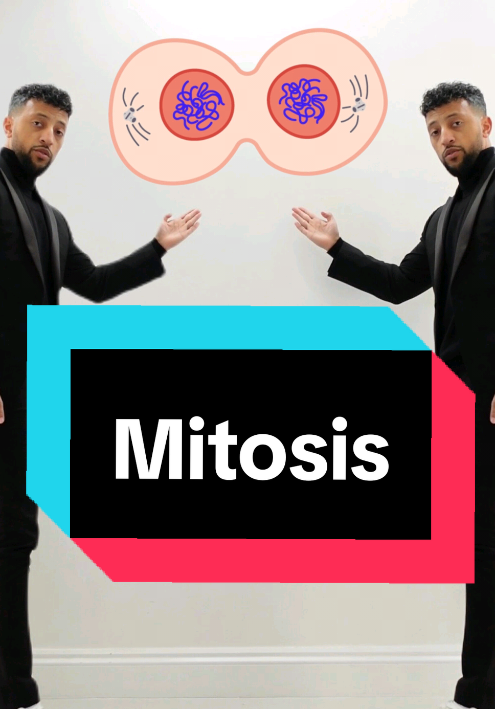 Biology class. Mitosis explained #celldivision #mitosis #cells #division #animalcells #cellcycle #cytokinesis  #rappingteacher #exams #revision #gcse #stem #school #Science #combinedsciencegcse #biology 