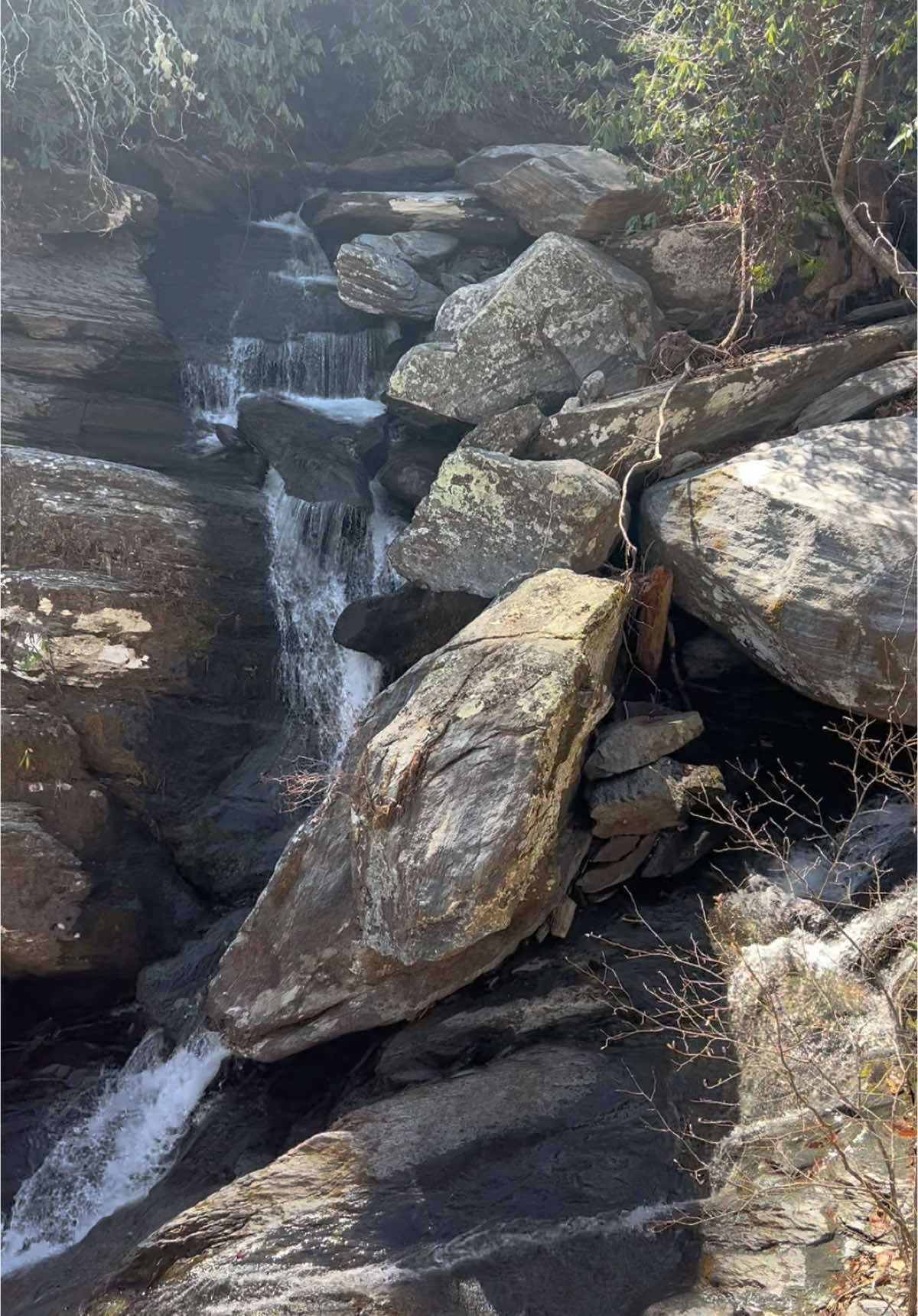 #charelston #charelstonsc #southcarolina #asheville #ashevillenc #blackmountain #blueridgemountains #springbreak 