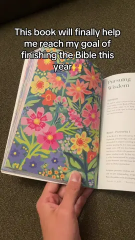 This book will finally help me reach my goal of finishing the Bible this year🙌