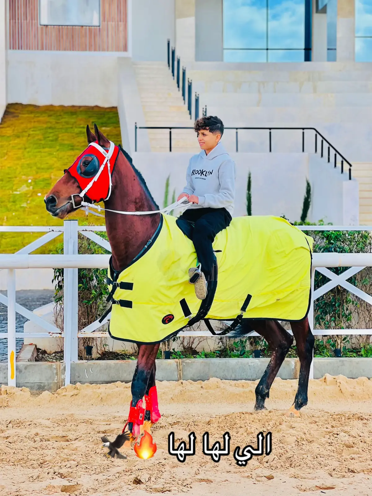#محمد_الدليمي #خيل_وخياله🐎 #مشالله_تبارك_الله🧿❤ #بنغازي_ليبيا🇱🇾 #بنغازي_طرابلس_ترهونه_رجمة_سرت_طبرق 