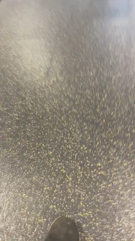 Finally hit 275 !!!! 💪💪💪💪💪#GymTok #gym #fypシ #Fitness #strong #cut #threedaysgrace 