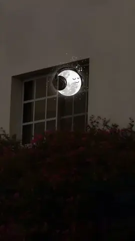 القصص_#قرآن #ماهرالمعيقلي #تلاوة_خاشعة #قران_كريم #quran_alkarim #quran #fyp #explore #quran 