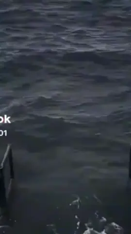 FUNNY VIDEO FROM THAILAND