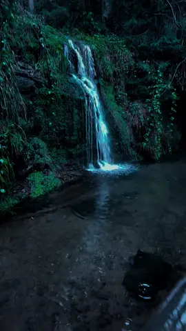 Dreaming #nature #darkaesthetic #calm #naturephotography #foryоu #aesthetic #relax 