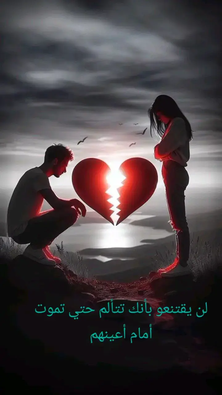 #اليمن_روحي156 