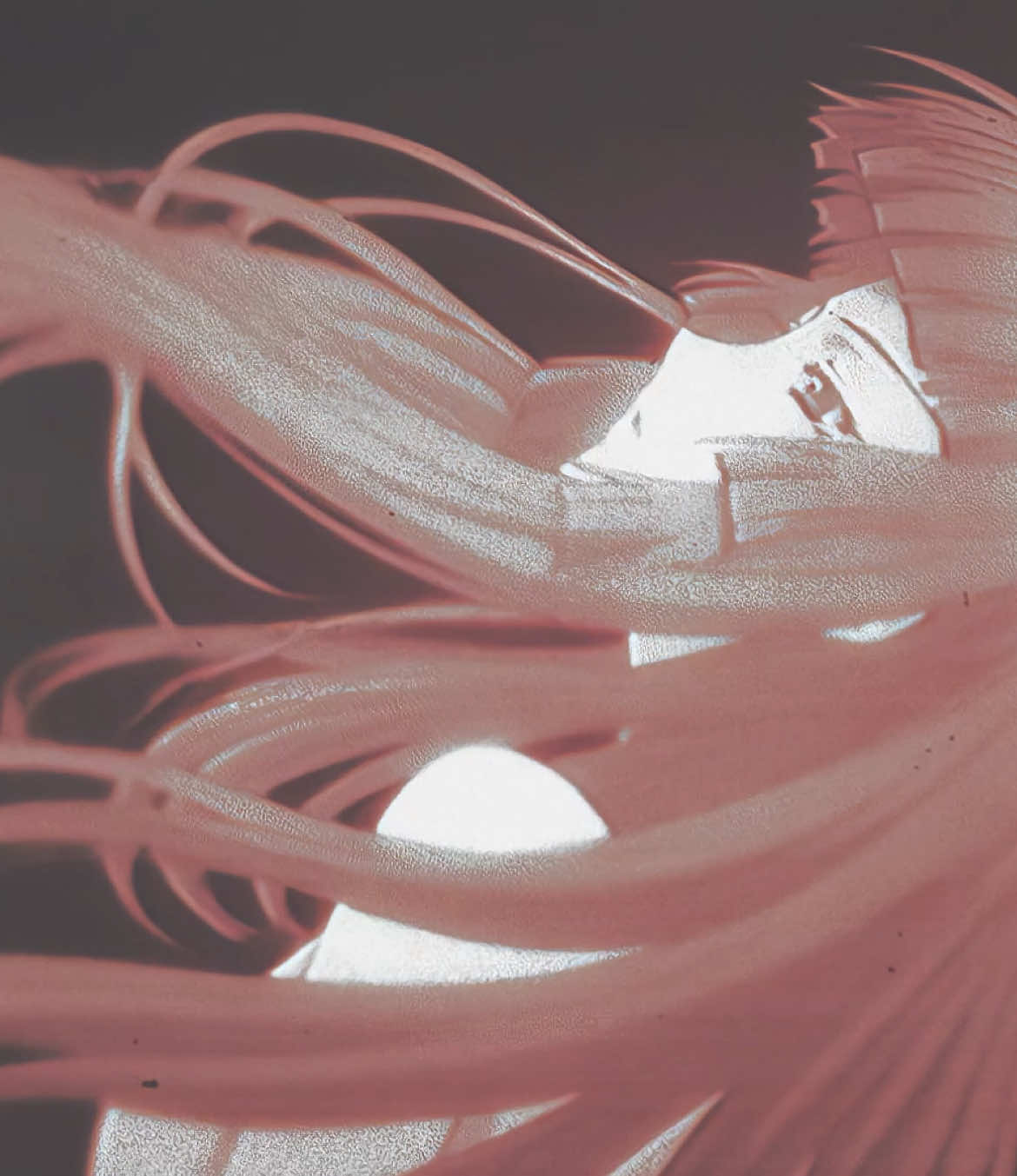 clement inclemency                                                             ㅤ                                                           #fyp #aftereffects #anime #amv #vibe #zetsuennotempest #ae #vibestyle #foryoupage #animeedit #amvedit #vibeedit #zetsuennotempestedit #aeedit #vibestyleedit #fypシ 