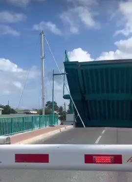 INSANE! A sailboat just slammed into a bridge—this is wild Watch till the end! ⛵💥 #BoatFail #SailboatCrash #ViralNews #CrazyMoments #BoatingGoneWrong #EpicFail #NauticalDisaster #BridgeCollision #MustSee #TrendingNow 
