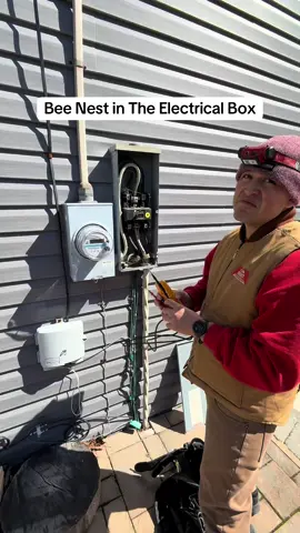 Service Call, Customer Called saying their electrical bill was really high, we checked the voltage, but found out the problem was their baseboard heaters drawing too many amps #electrician #bluecollar #electriciansoftiktok #electricalcontractor #apprentice #union #electricianlife #construction #hendythesparky #trending 