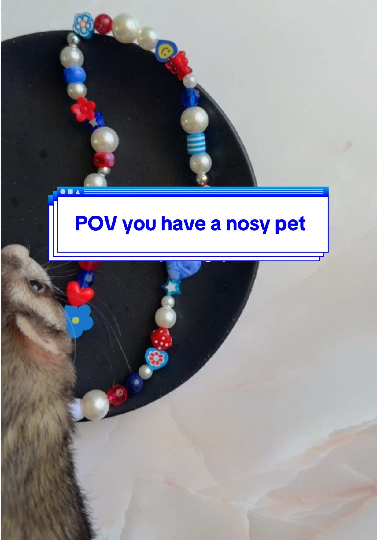 Wouldn’t have it any other way 🥹 PS the car charm passed Oreo’s inspection ✔️ #ferretsoftiktok #jewelrymaker #productpictures #relatable #clingypet #beadedaccessories #carcharms #cardecor #etsyhandmade