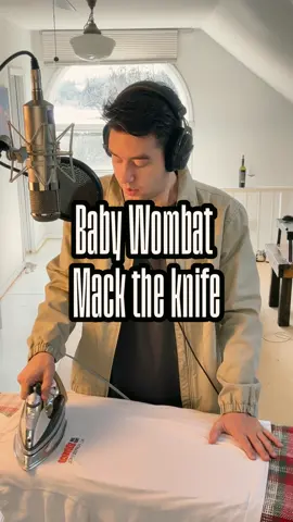 Baby wombat! #babywombat #australia #jazz #macktheknife #baritone