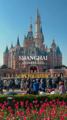 One day at “Shanghai Disneyland” 🎠🎡 บรรยากาศ 1 วันที่ดิสนีย์แลนด์เซี่ยงไฮ้ กับเครื่องเล่นสุดฮิต พาเหรดสุดอลังการ และโชว์จากเจ้าหญิงดิสนีย์ #shanghaidisneyland #disneyland #เที่ยวเซี่ยงไฮ้ #เที่ยวเซี่ยงไฮ้2025 #เซี่ยงไฮ้2025 #ดิสนีย์แลนด์ #tiktokพาเที่ยว #bomvoyage #shanghai2025 #snowwhite 