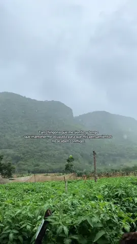 #paratii #contenido #yopuedocontodo #semefuecomosebalanoche❤️‍ #edenmuñoz 