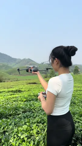 Phú Thọ quê em có đồi chè bát úp, quê mọi người có gì?#flycam4k #flycamvietnam #xuhuongtiktok 