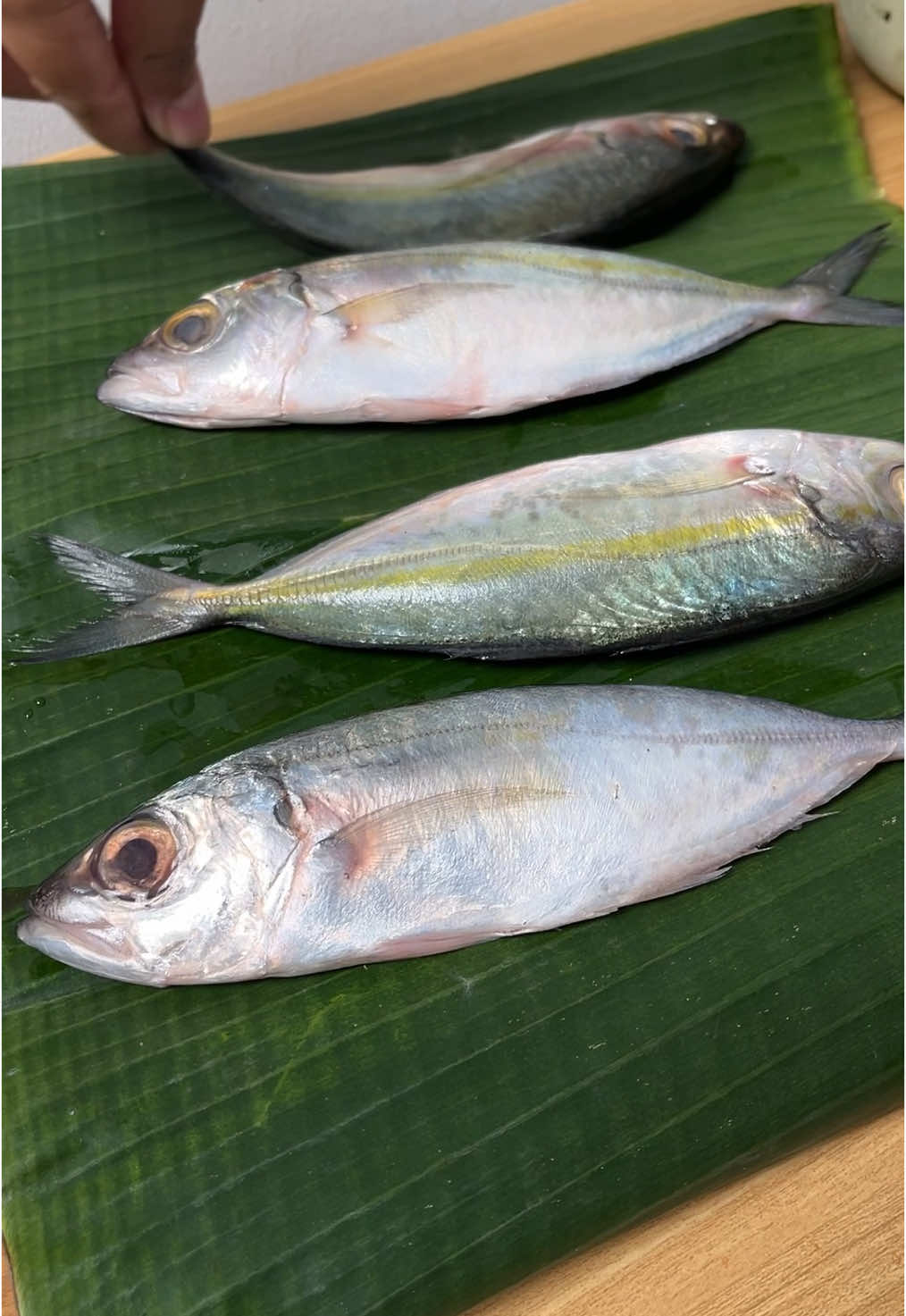 Ikan paling enak dimasak gini #ikan #reseptiktok 