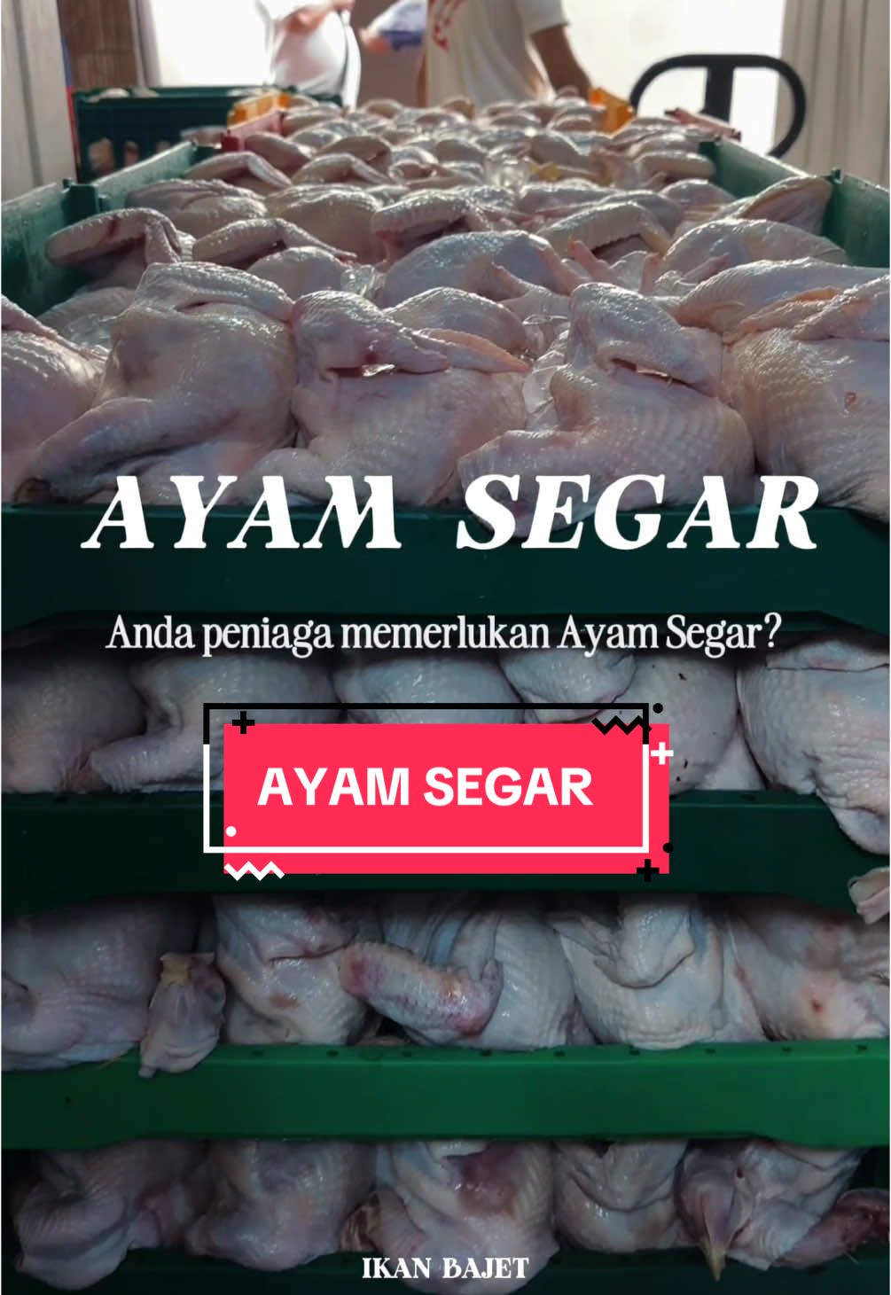 Anda peniaga memerlukan Ayam Segar dari Ladang ??? Beli di Ikan Bajet ‼️ #ayamsegar #ayamsegardariladang #ayambumiputera #bumiputera #ikanbajet 