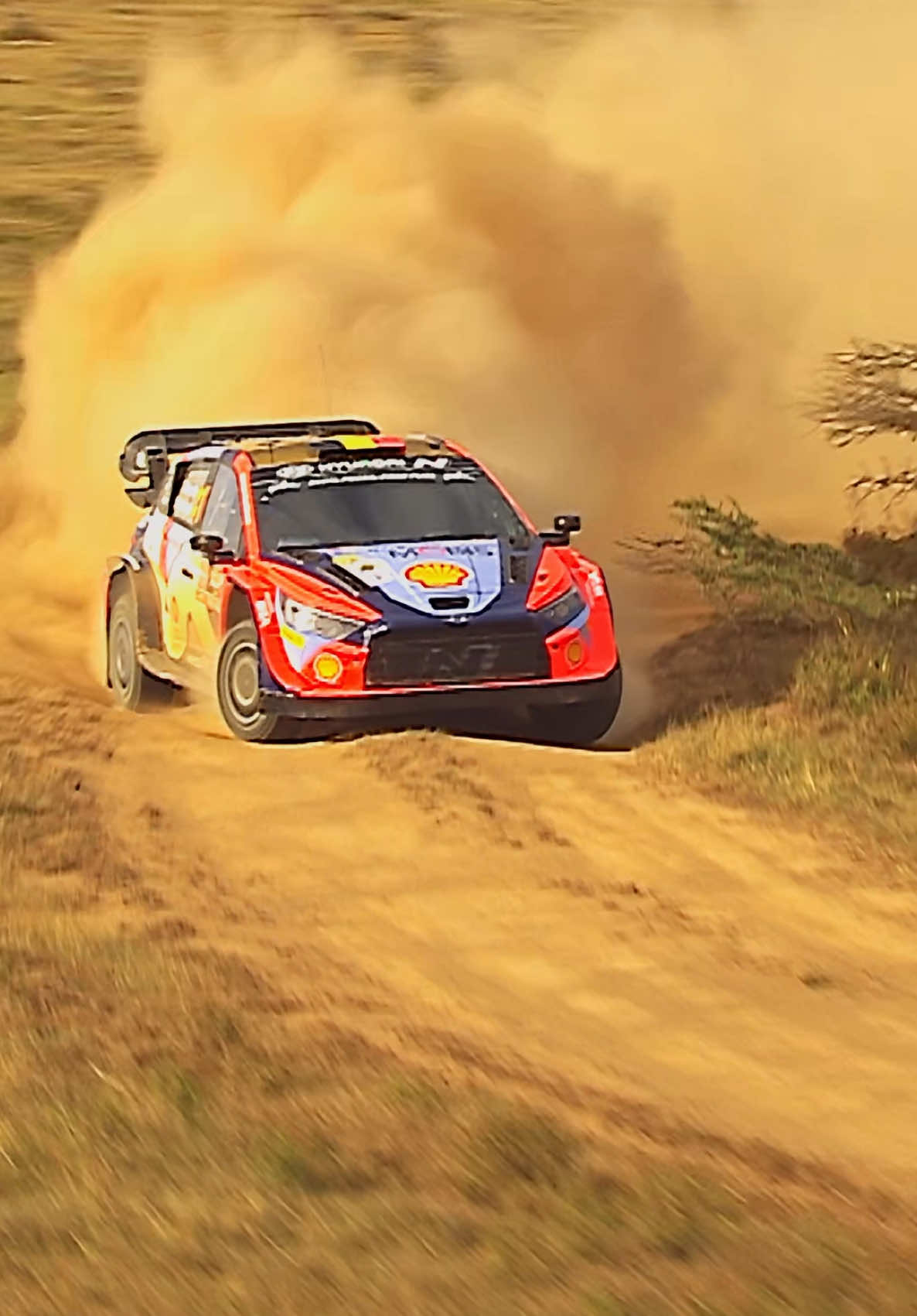 The #wrc #safarirally is about speed and grit. Here are some of our favorite speedy shots from last year. 