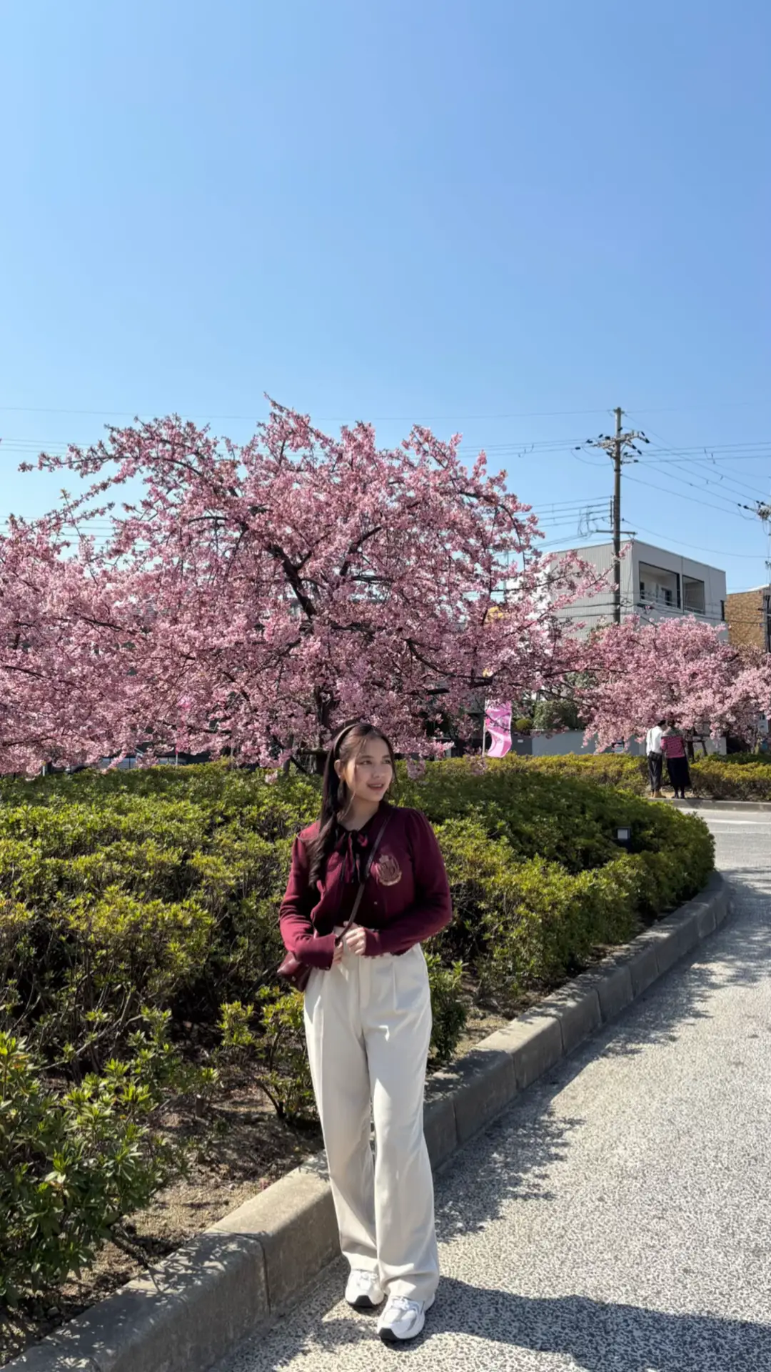 sakuraa in yodo🌸✨🤍 #slidefoto #4upage #fypシ゚viral #kenshuseijapan🇮🇩🇯🇵🎌 