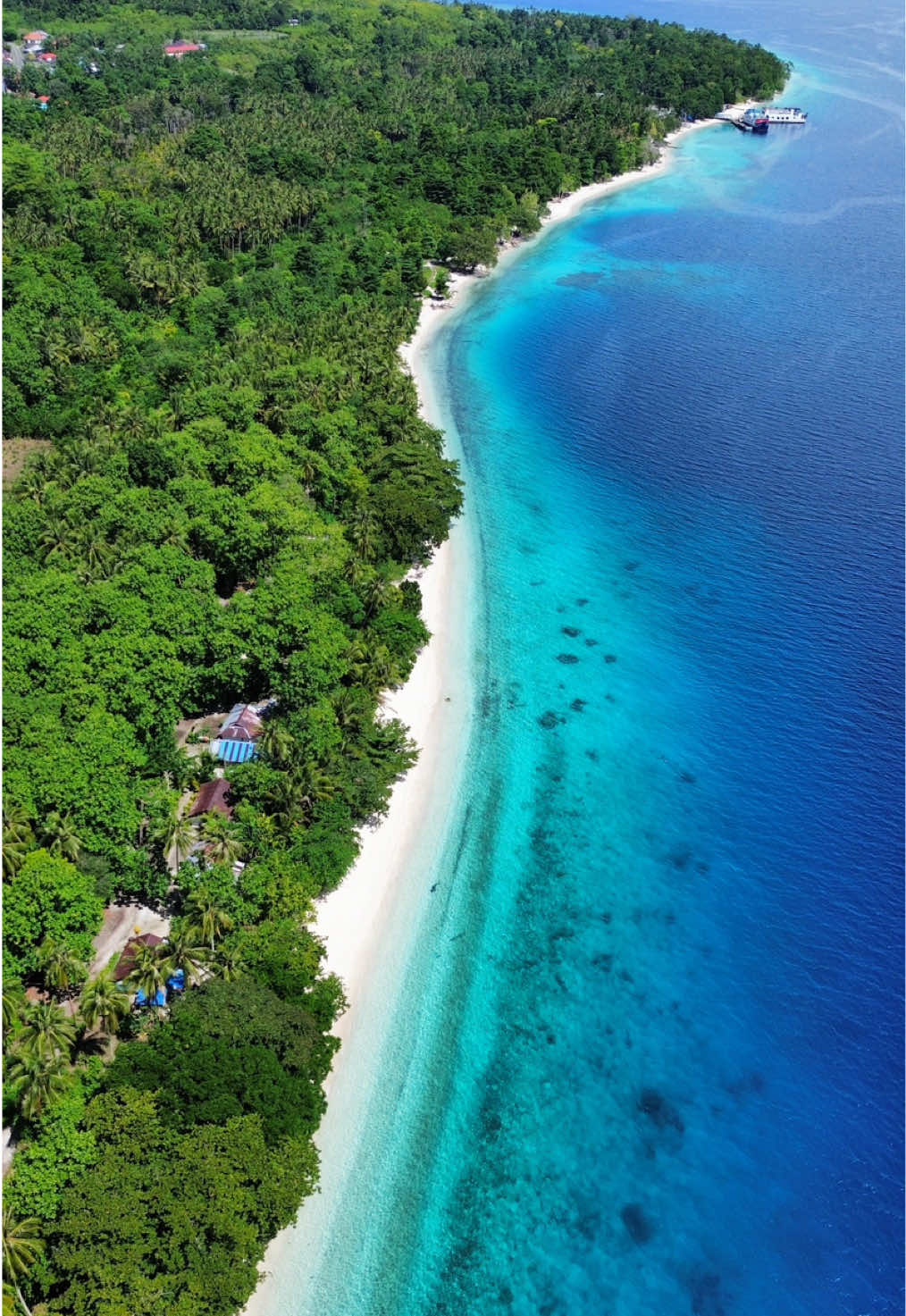 Rekomendasi spot pantai cantik cuma 1 jam an dari kota Ambon Yak! Ini namanya pantai Wainuru, letaknya ada di samping persis pantai yang udah cukup terkenal, pantai Liang. Awalnya aku emang rencana mau explore pantai Liang, tapi karena pasir pantainya udah cukup parah kena dampak abrasi (meskipun pantainya masih cakep parah) akhirnya aku putuskan untuk cari spot pantai lain, dan ternyata ada pantai cantik ini yang letaknya cuma bersebelahan sama pantai Liang. Untuk menuju kesini jalanannya lumayan rusak karena cuma jalan setapak, tapi habis liat viewnya secantik ini jadi happy banget! Tempatnya masih asri dan gak pake tiket, jadi di pinggir pantai banyak banget masyarakat sekitar yg cari ikan atau bahkan sekedar lagi berteduh. Cusss ajakin temen kalian ke pantai Wainuru ini 🥰 📍Pantai Wainuru, Kab Maluku Tengah, Maluku #maluku #malukutengah #wainuru #pantaiwainuru #wonderfulindonesia #pesonaindonesia #exploremaluku #exploreambon