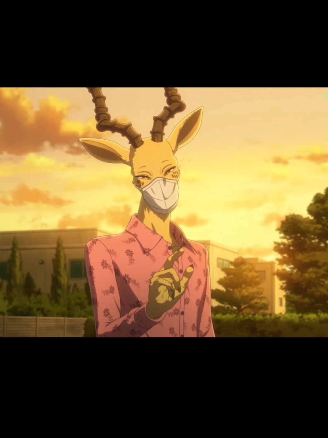 мелон🍈 #аниме #beastars #выдающиесязвери #мелон #анимемомент #🍈 #3сезон 