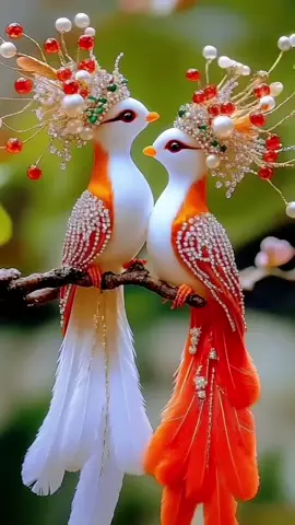 #တကိုင်းထဲတည်းနားတဲ့ငှက်ကလေးတွေ🐦🐦  #ရောက်ချင်တဲ့နေရာရောက်👌  #trendtoday  #နိုင်ငံခြားရောက်ရွှေမြန်မာ  #သီချင်းချစ်သူများအတွတ်☺️🎼🎵🎶 