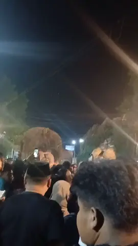 Jan ruejo mack #fyp #ponorogo24jam #reogponorogo #tadarusbudaya #masukberanda 