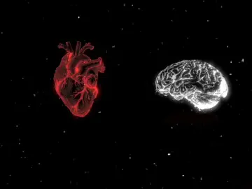 عندما يتحدث العقل مع القلب  #MLBBGoldenMonth #MLBBGetItFree #MLBB #تصميم_فيديوهات🎶🎤🎬 #اكسبلور #القلب_العقل #fyp #القلب #العقل #تصميم_فيديوهات🎶🎤🎬 #fyppppppppppppppppppppppp #fyp #🧠 #fyp #CapCut #تصميم #fyp 