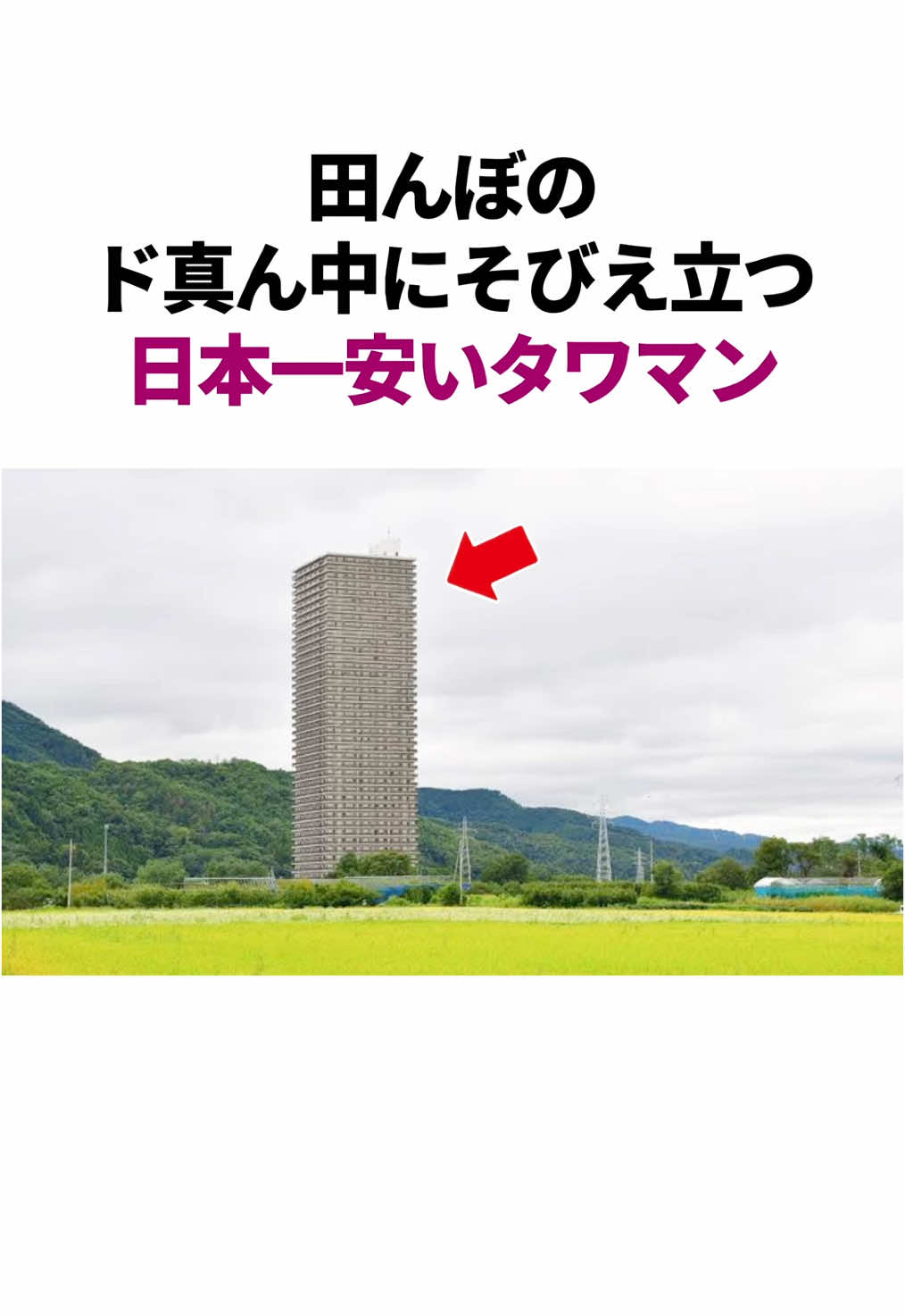 ど田舎の日本一安いタワマン　#雑学 #豆知識 #住宅 #タワマン #節約 