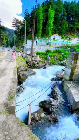 Our beautiful swat 🍁♥️