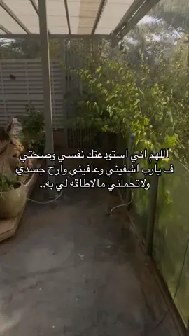 ماشاءالله تبارك الله امطار قويه ورعد وبرق بالخرج. #رمضان_يجمعنا #امطار_الخير #الخرج🤍🌷#ليلة_القدر#صلاة_قيام_الليل_أثابكم_الله🌙 #اكسبلورexplore #fyqシ #viralvideo 