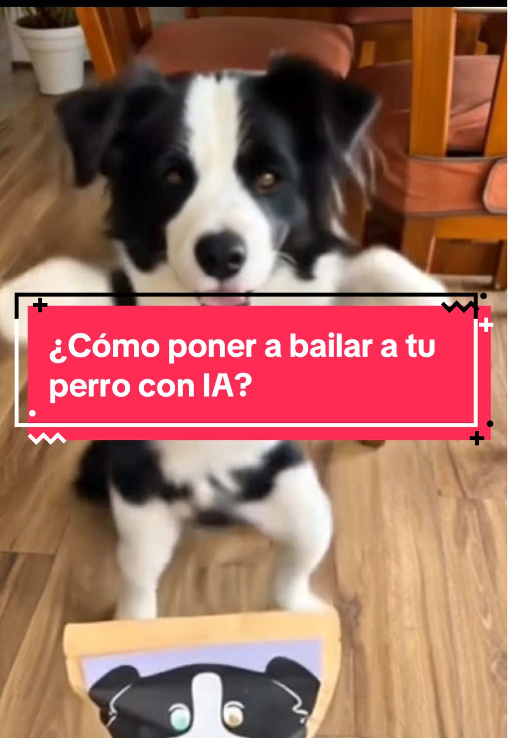 ¿Cómo crear el video de los perros bailando? ¿Cómo crear el video de las mascotas bailando en 3 pasos?  #trendmascotas #mascotasbailando #perrosbailando #gatosbailando #perrosbailandoia #perrosbailandotrend #perrosbailandofiltro 