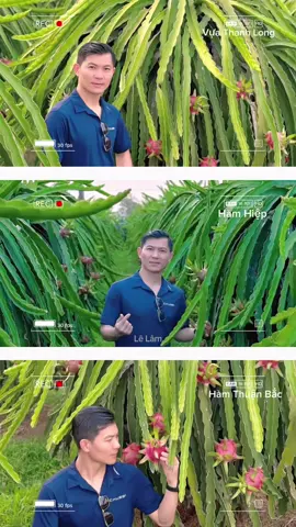 #CapCut #thanhlongphanthiet