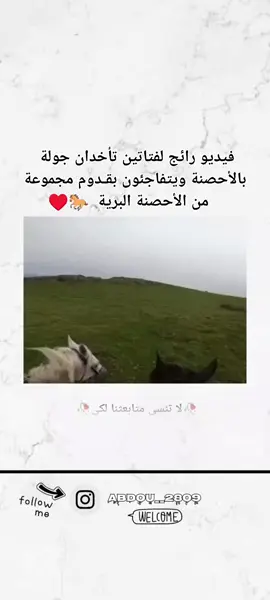 ♥️♥️🐎