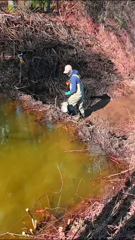 All width beaver dam rollover #beaverdam #beaverdamremoval #draincleaning #cloggeddrain #tik_tok 
