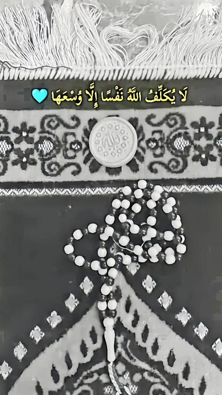 #الشيخ_علي_المياحي @درة علي ؏ @الطريق إلى الله ⛎ 