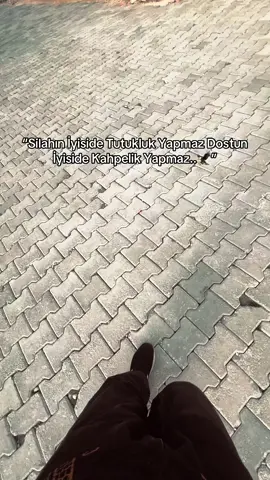 “Aslan Dostunu Etiketle…🦅👑” #storylikvideolar🦅📌 #albunukeşfetetiktok #keşfetttttttttttttttttttttttttttttttt #şanlıurfaprovince #_1eyubiyesayfasi 