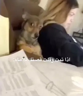 لما تيجي تتوب وتحكي قصتك لشيخ المسجد وتامنوا ان ما حدش يعرف  الشيخ: 😂😂😂