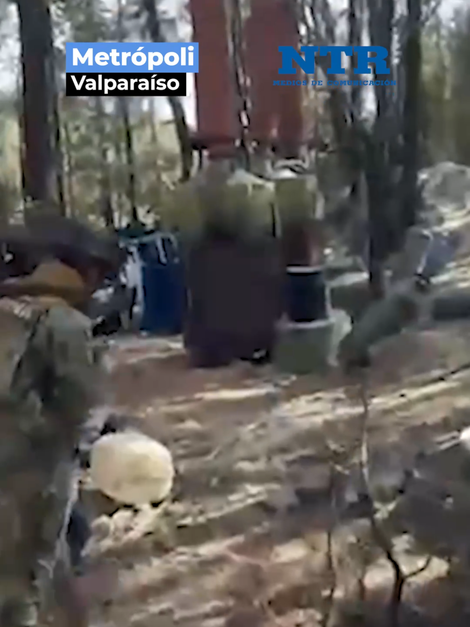 #notadeldia | DESMANTELA SEMAR NARCOLABORATORIO La Secretaría de Marina (Semar), en coordinación con fuerzas federales, aseguró un megalaboratorio en la sierra de Zacatecas, empleado para la fabricación de drogas sintéticas, donde neutralizaron maquinaria y destruyeron precursores químicos, con lo que se evitó la producción de 27 mil 930 kilogramos de metanfetamina. De acuerdo con fuentes federales, el valor se calcula en 8 mil 379 millones de pesos. #reels #alertaroja #zacatecas #entérate #noticias #ntr #GN #Defensa #alerta