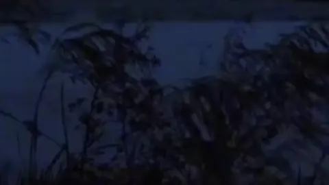 song: a new kind of love #lycris #imogenheap #songs #fy #anewkindoflove