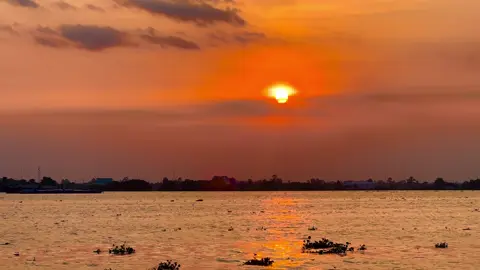 Ở đây sông nước hữu tình,người có bằng lòng mà về nơi đây #music #chill #nhacnaychillphet #nhachaymoingay #xuhuong #quehuongmientay #quehuong #canhdepthiennhien 