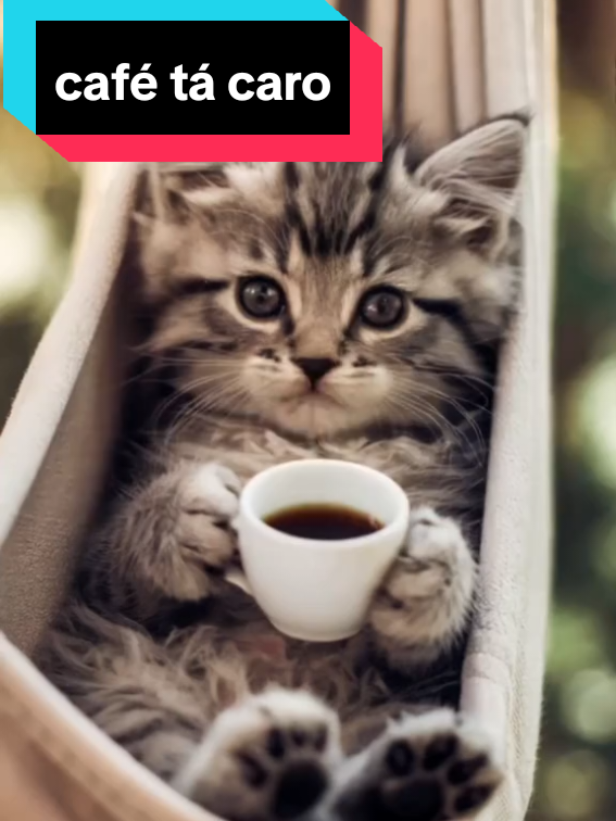 se o café tá caro só acordar na hora do almoço kkkk#vídeo café tá caro