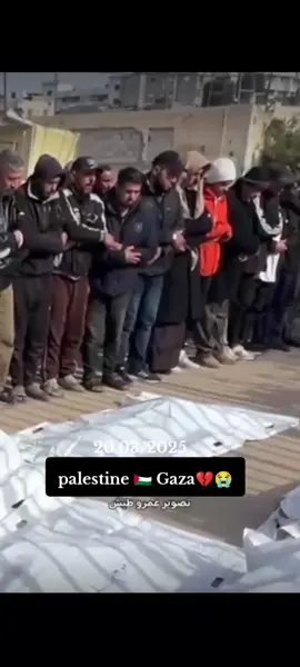 #🇵🇸💔