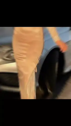 MF👗 من تصميم MF FASHION 🪡 دمياط الجديده خلف زهران مركت 🏭 للحجز والاستفسار الاتصال بنا  01000293528📞