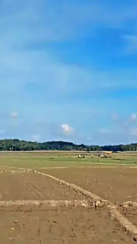 #ramadanrace🏁 #fy #beatespmodifikasi 