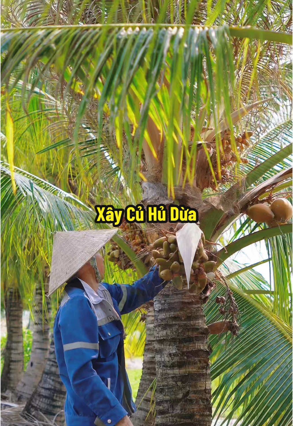 Xây Củ Hủ Dừa Ăn #hienonha 