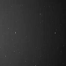 أنا الثلاثه محد يفرقنا🥰.#فهدسال#براء #دحومي999