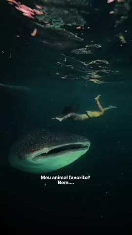 💙 #sea #mar #biologiamarinha #biologia #viralllllll 
