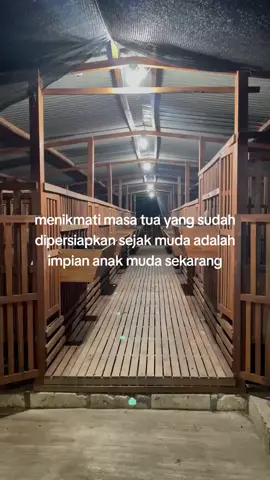 #peternakmuda #masadepan #kambing #etawa #kandang 